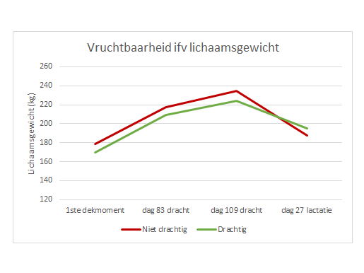 Figuur 1. Gemiddeld lichaamsgewicht (kg) van gelten gewogen op dag 0, 83, 109 van de eerste dracht en dag 27 van de lactatie.  De gelten zijn opgesplitst in 2 groepen: een groep die drachtig werd en een groep die niet drachtig werd na de eerste keer insemineren in de tweede ronde.